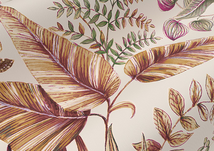 Paloma, Amber - Roller Blind - Image 4